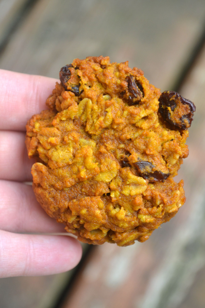 Flourless Pumpkin Oatmeal Raisin Cookies