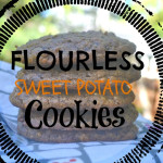 Sweet Potato Flourless Cookies