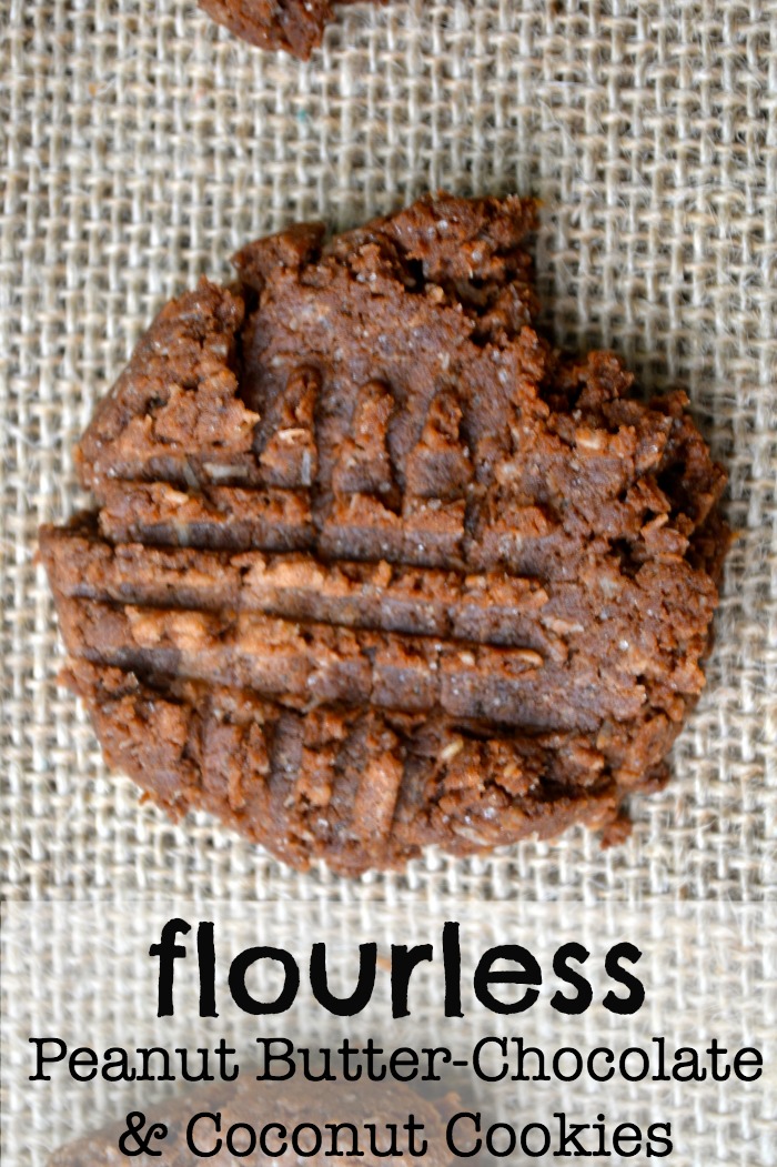 flourlesspbcookies2