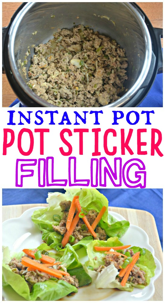 My Snoopy Instant Pot sticker!!  Instant pot recipes, Instant pot pressure  cooker, Instant pot