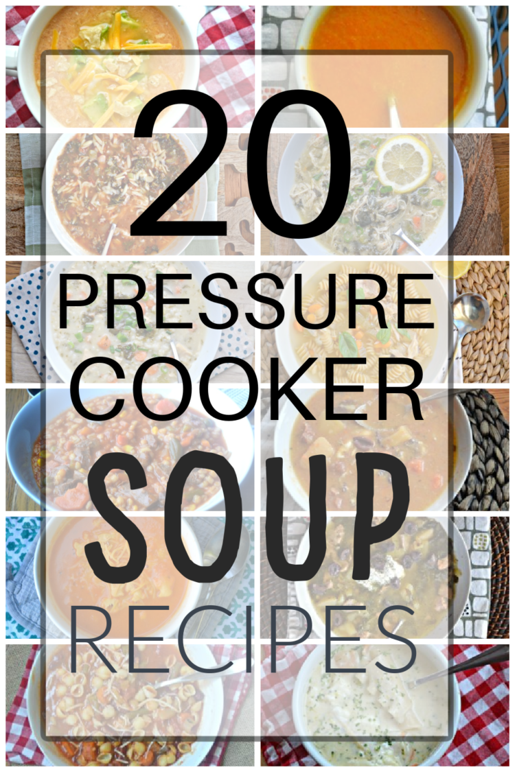 20 Electric Pressure Cooker Soup Recipes Make the Best of Everything