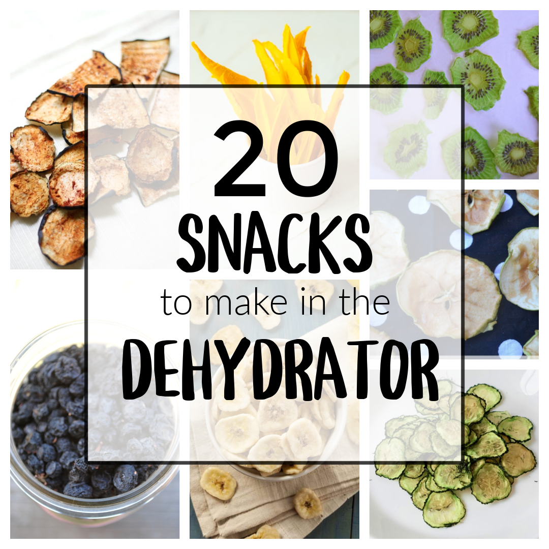 easy dehydrator recipes